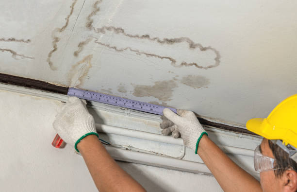 Reliable Mold Remediation contractor in Weston, CT by Water Damage Irwin